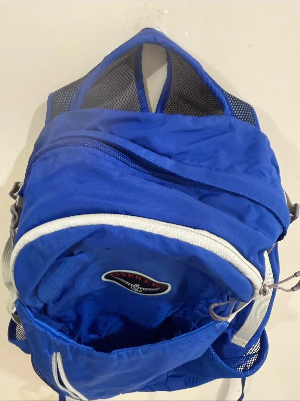 OSPREY Blue Daypack with White Trim